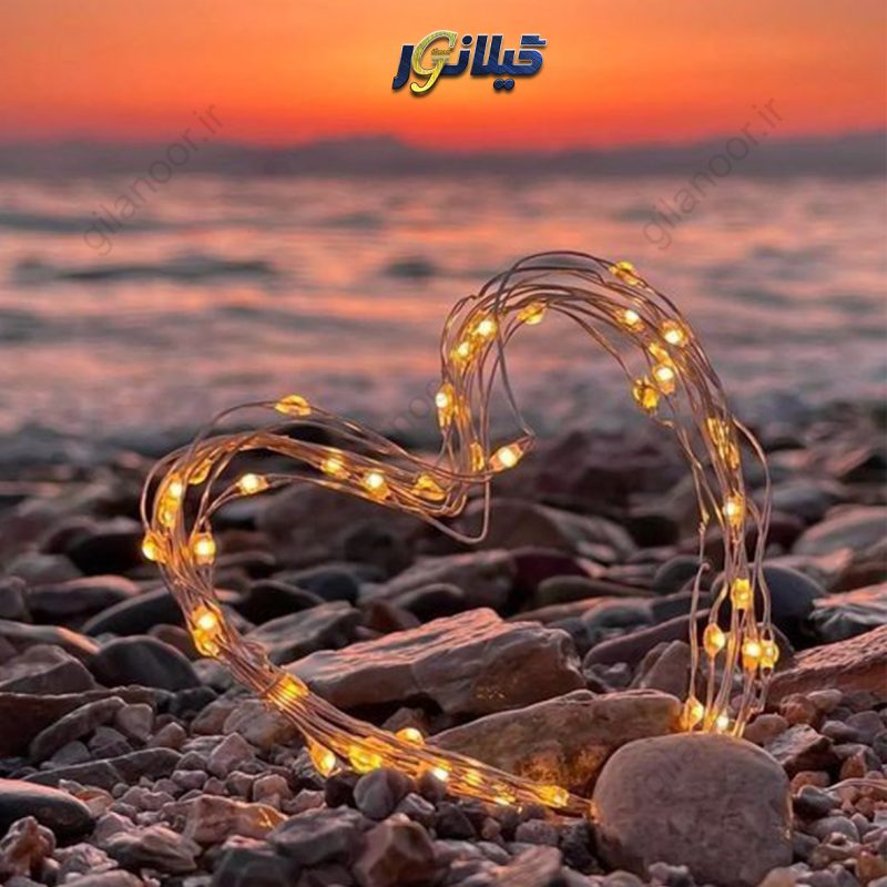 صفحه اصلی