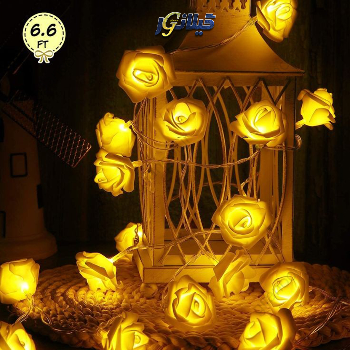ریسه گل رز آفتابی