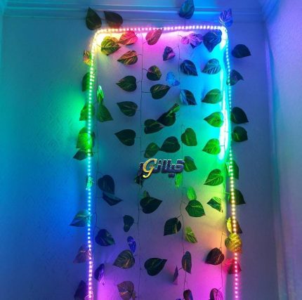 پک ریسه برنامه پذیر IC دار